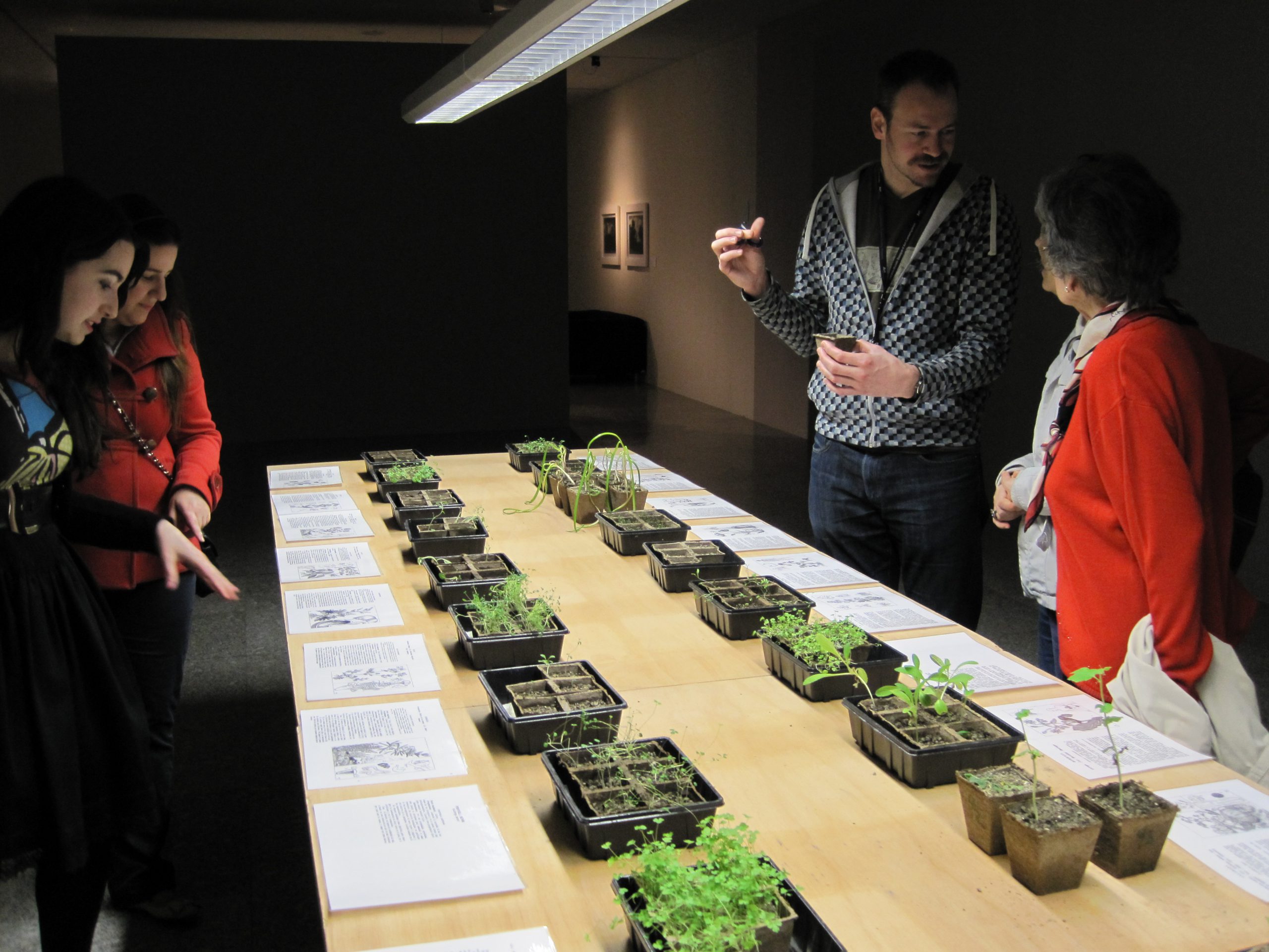 Adoption of medicinal plants