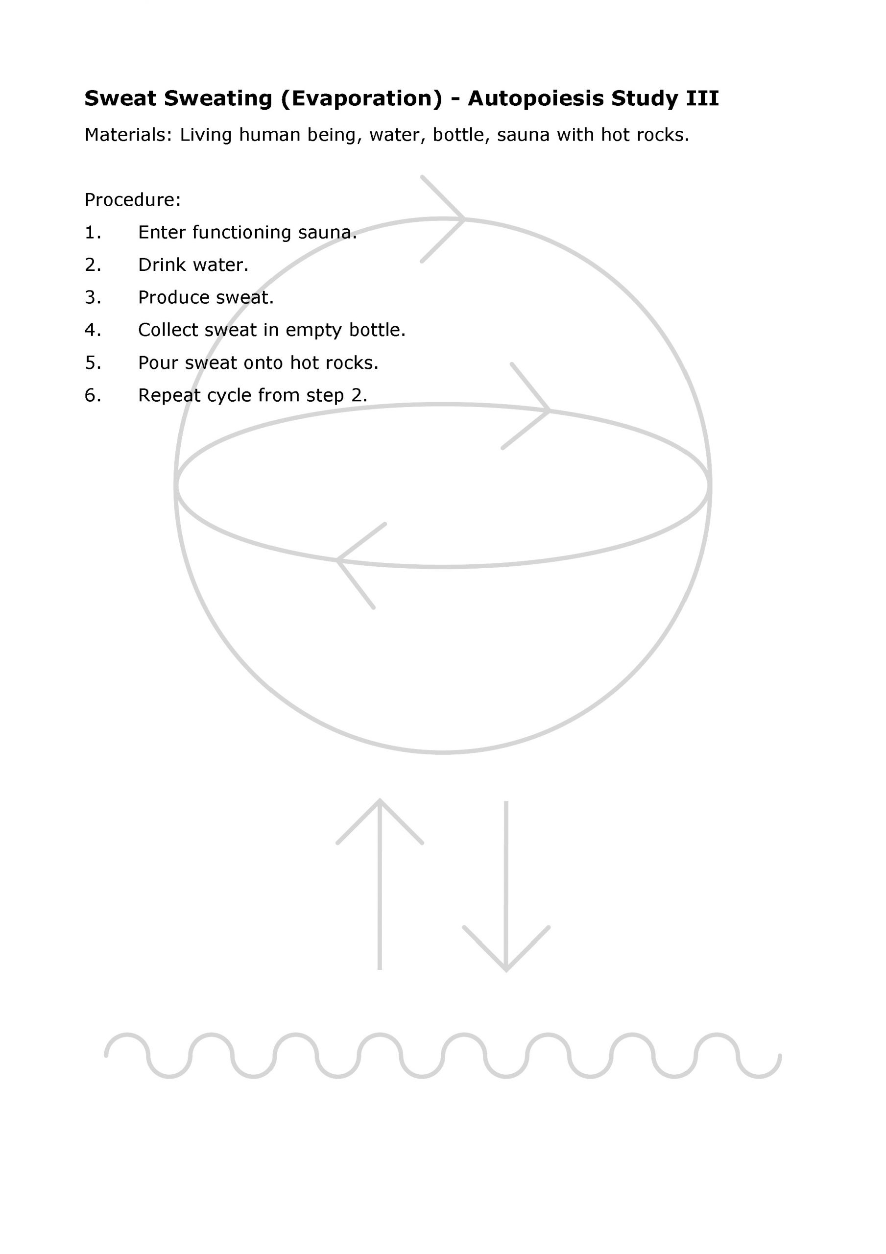 Autopoeisis Study III