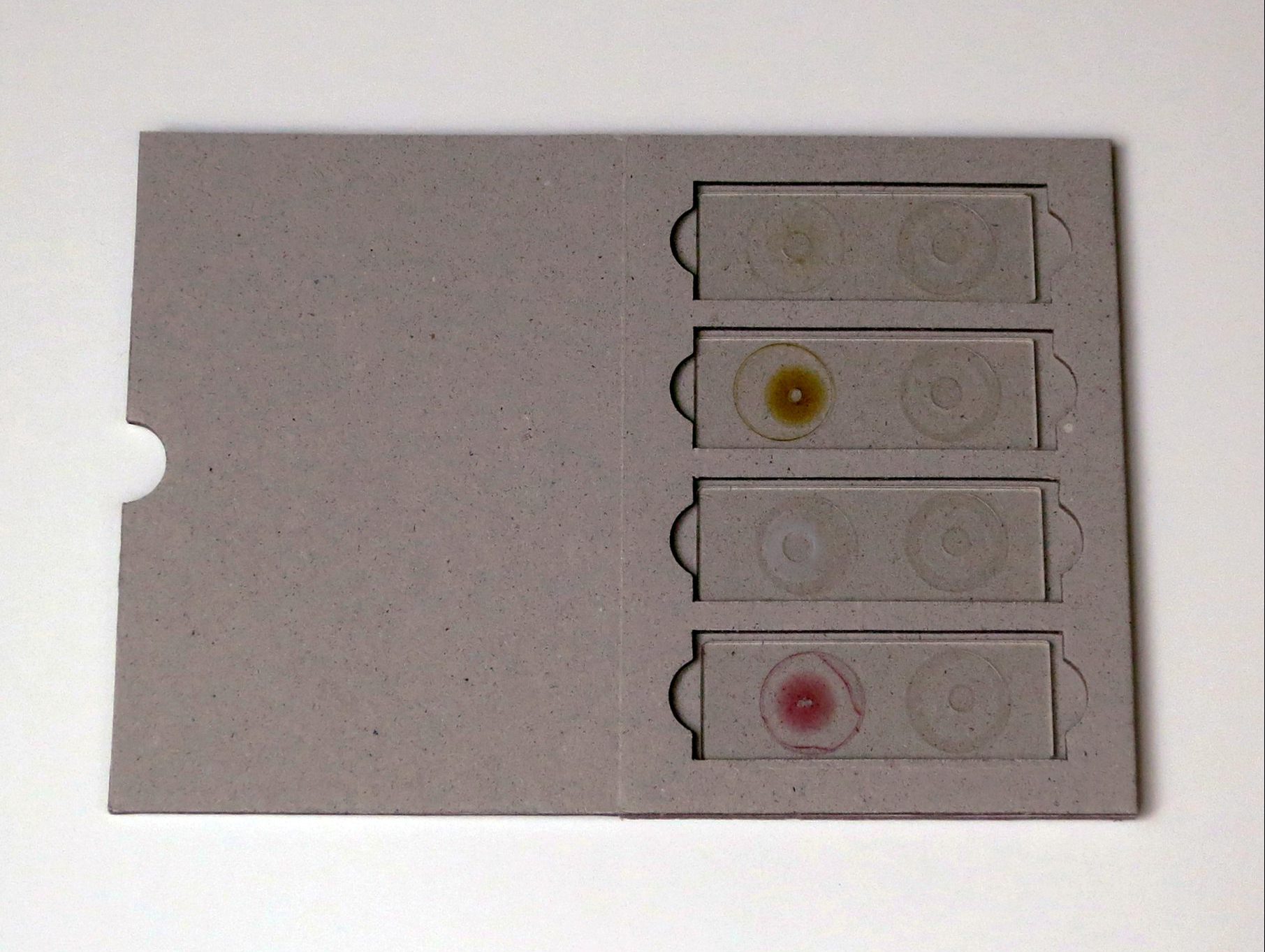 Transformation Studies