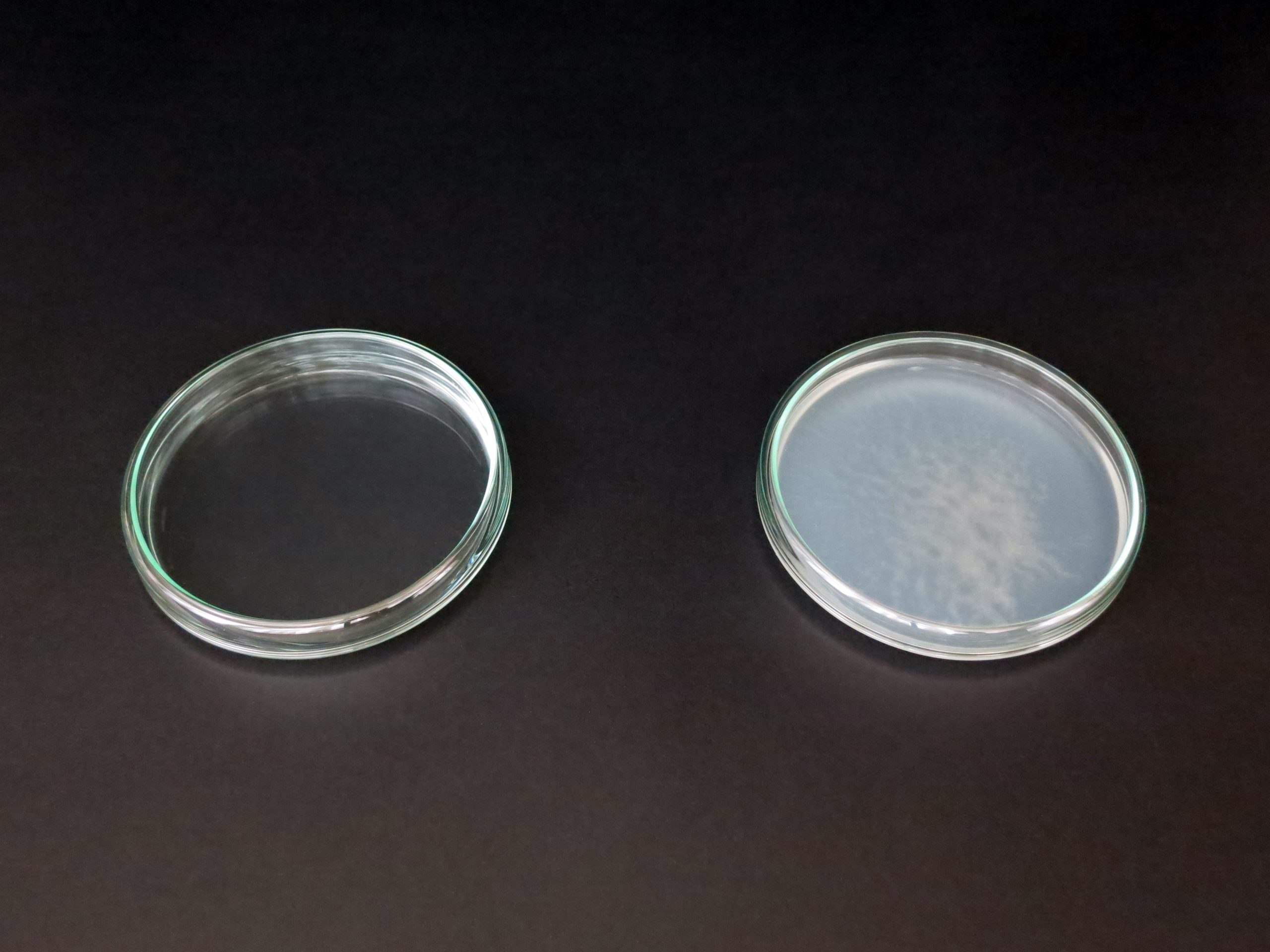 Transformation Study