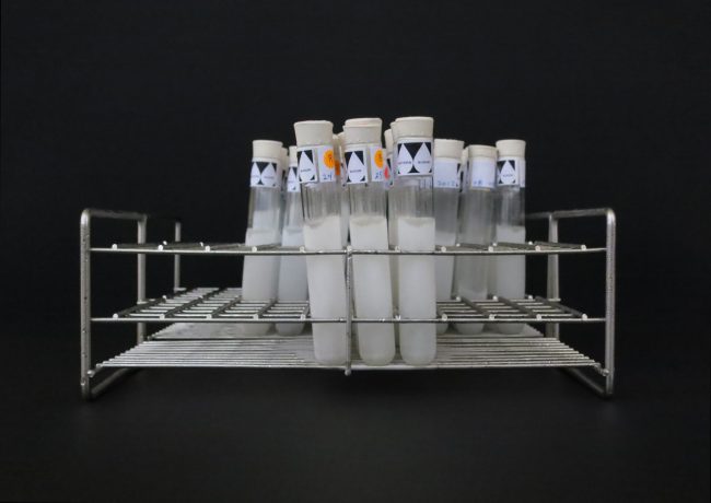 Physical Thought / Transformation Studies / Autopoiesis Studies