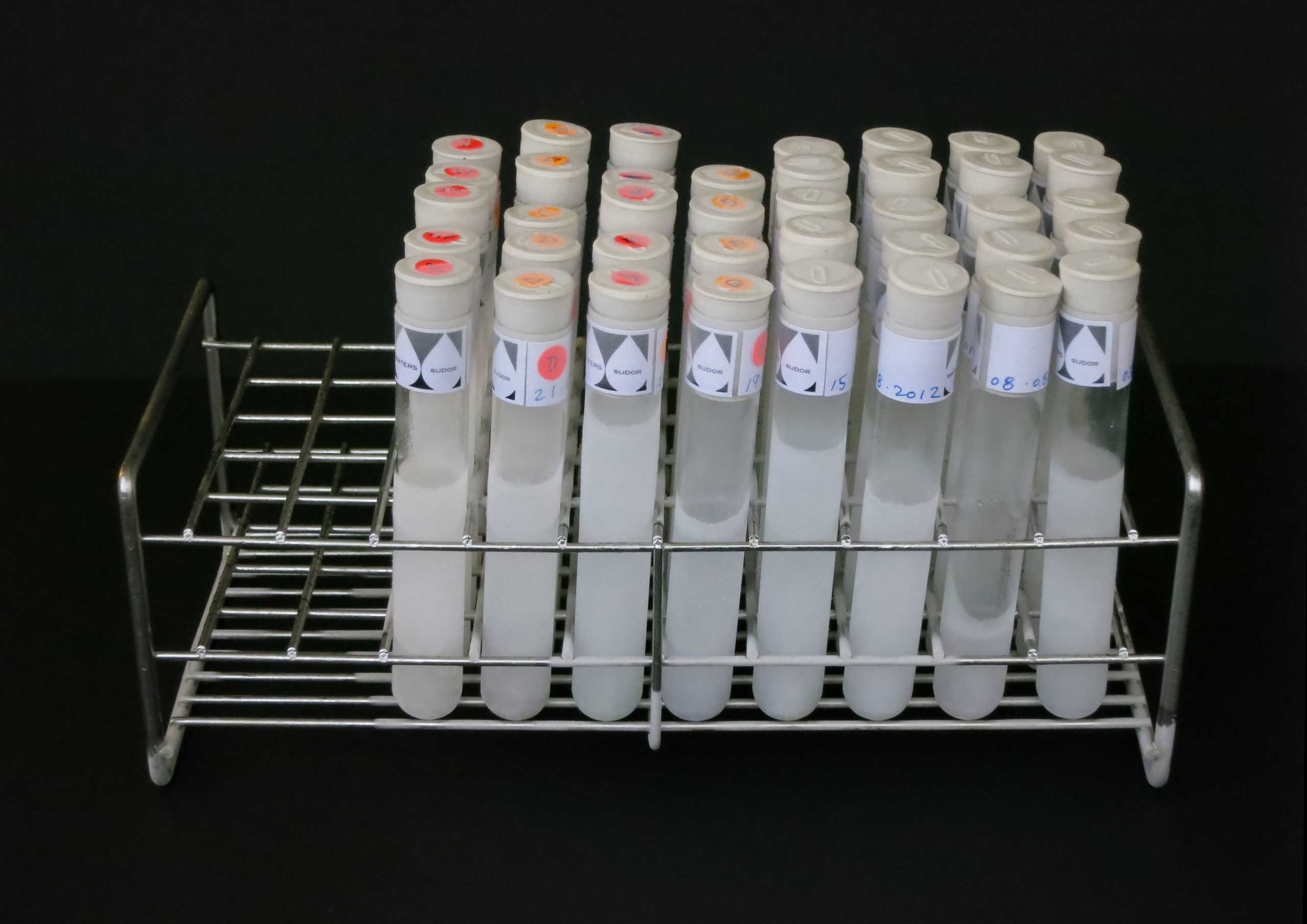 physical thought (three-quarters)