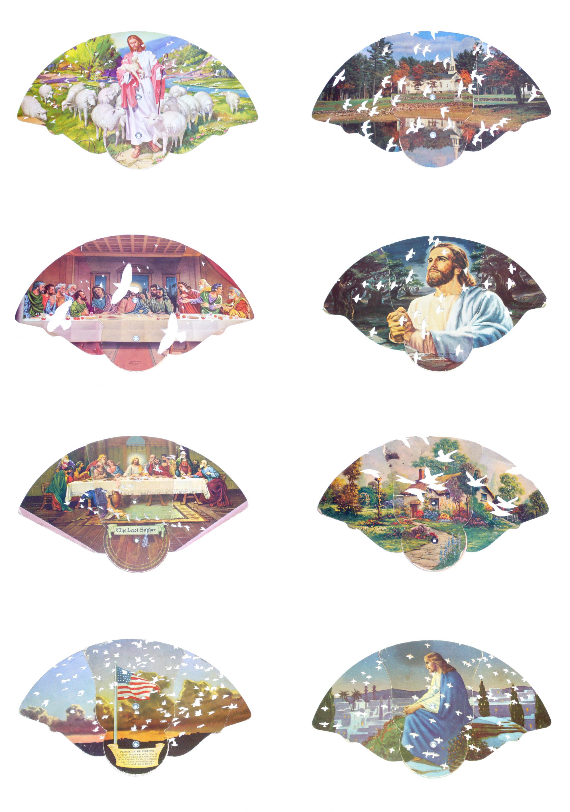 Bird Flew group back