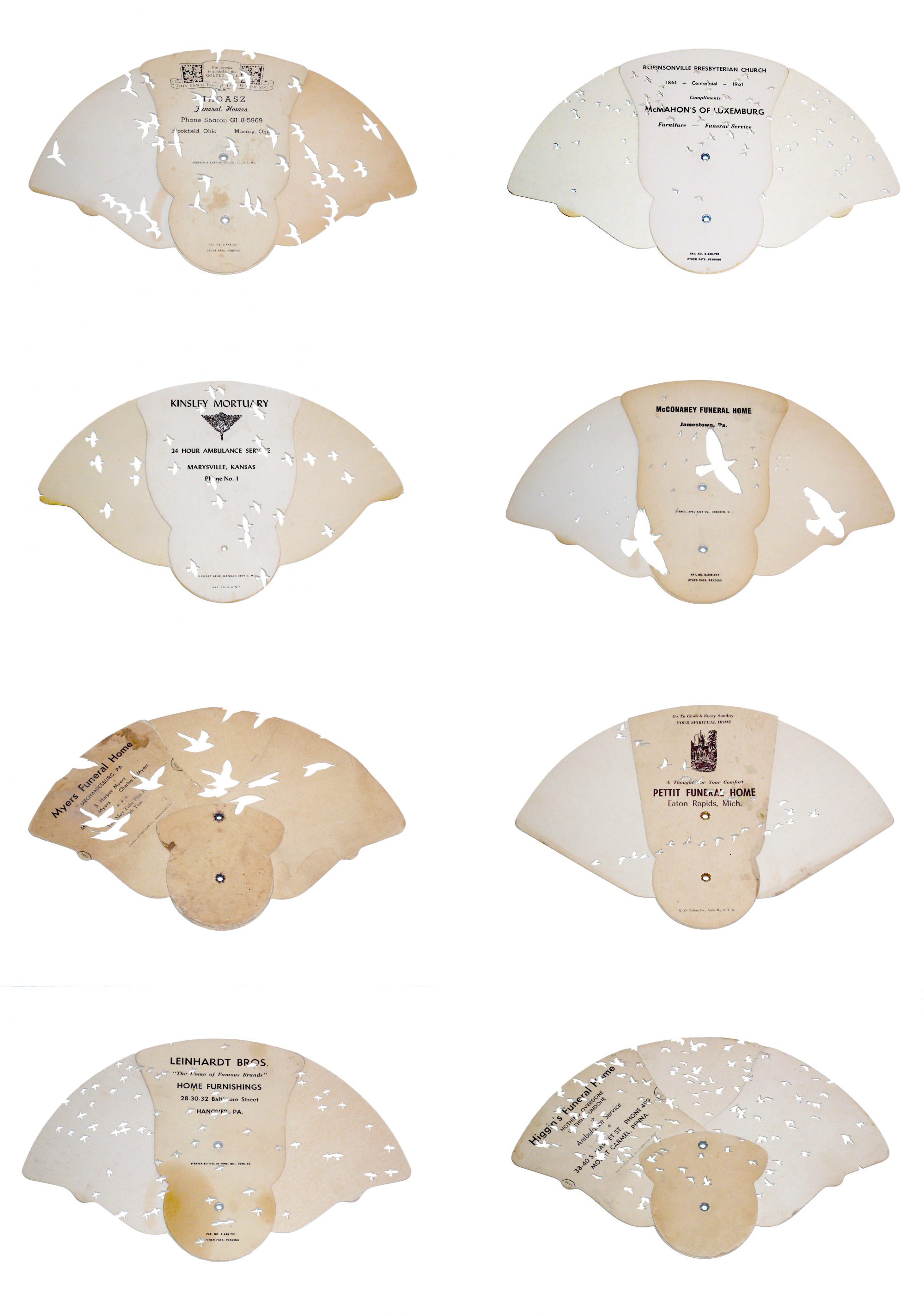 Bird Flew group front view