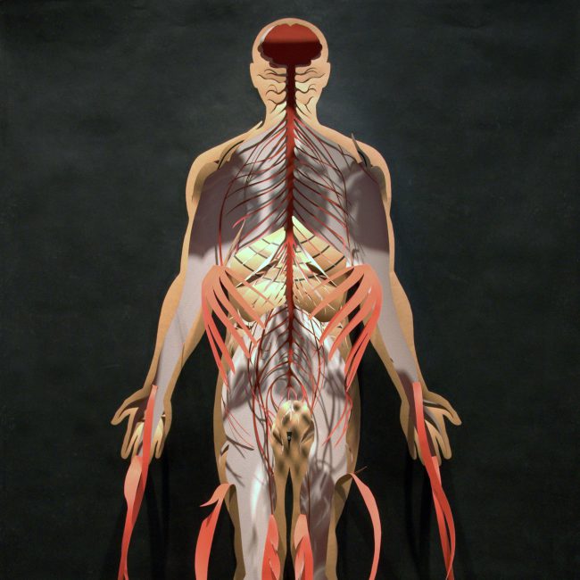 Target That Won’t Feel a Thing