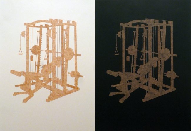 Are You a Body or Do You Have a Body?