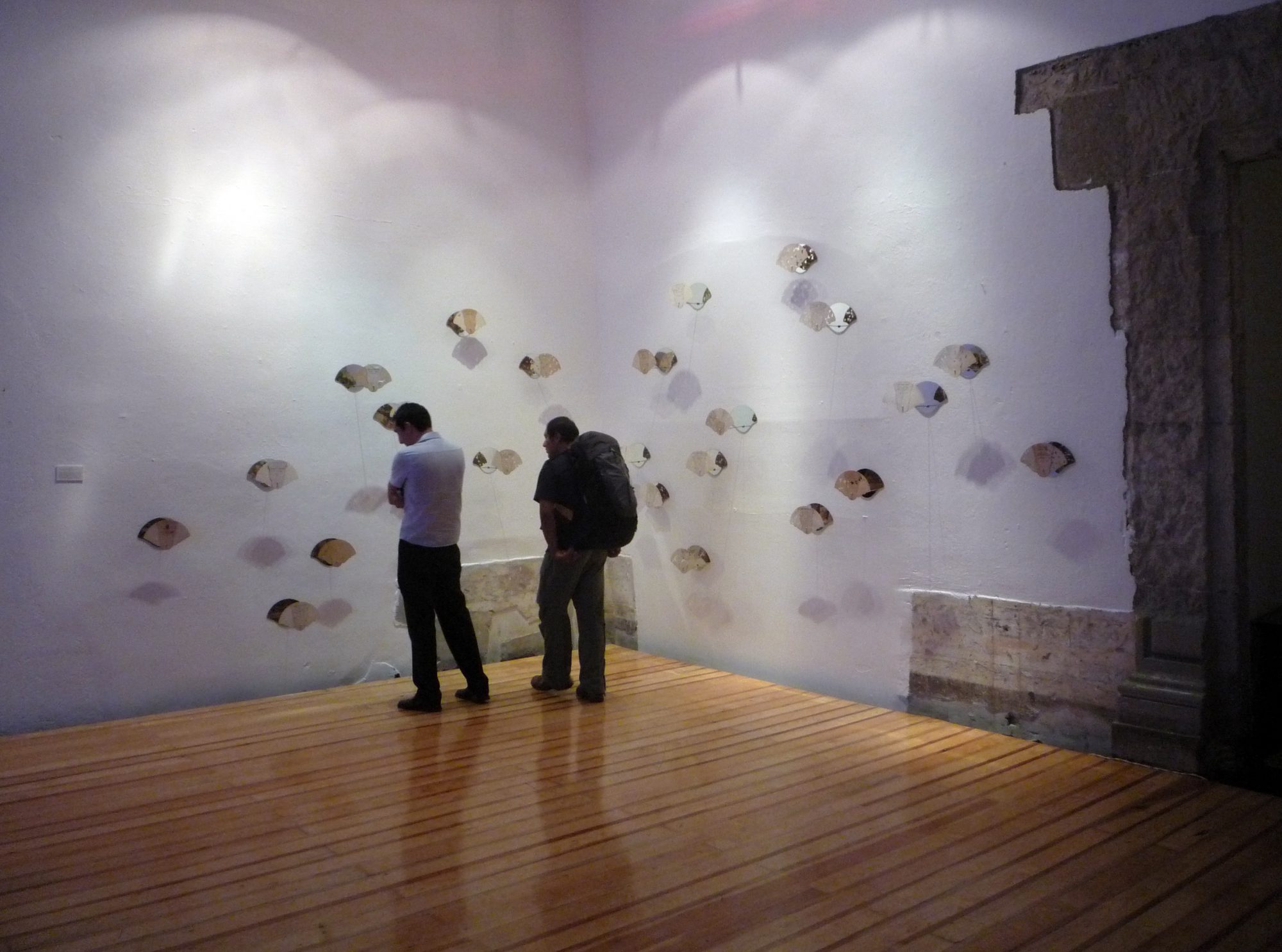 Bird Flew ( Taparrabo installation, Ex Teresa Arte Actual)