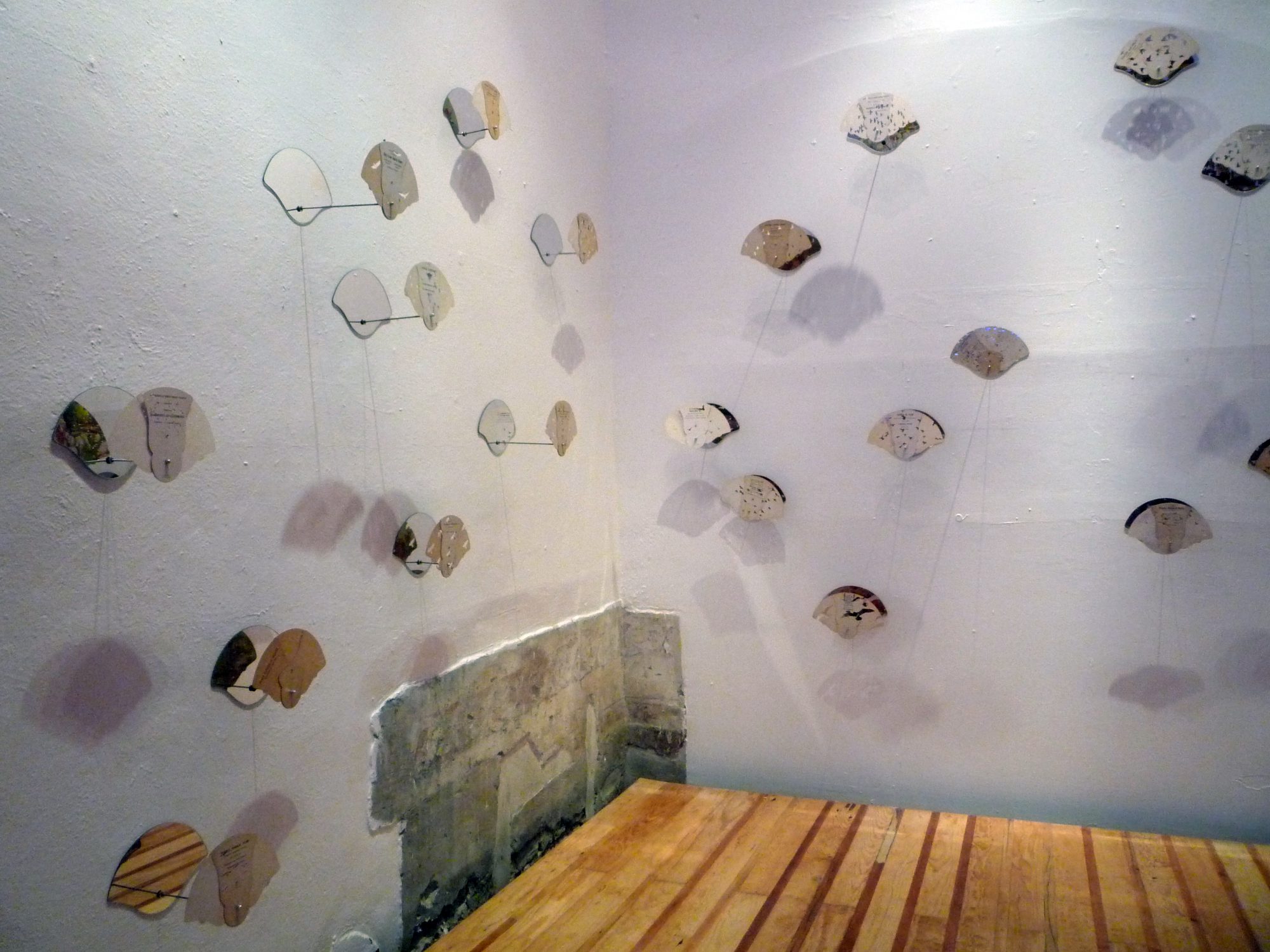 Bird Flew (Taparrabo installation, Ex Teresa Arte Actual)